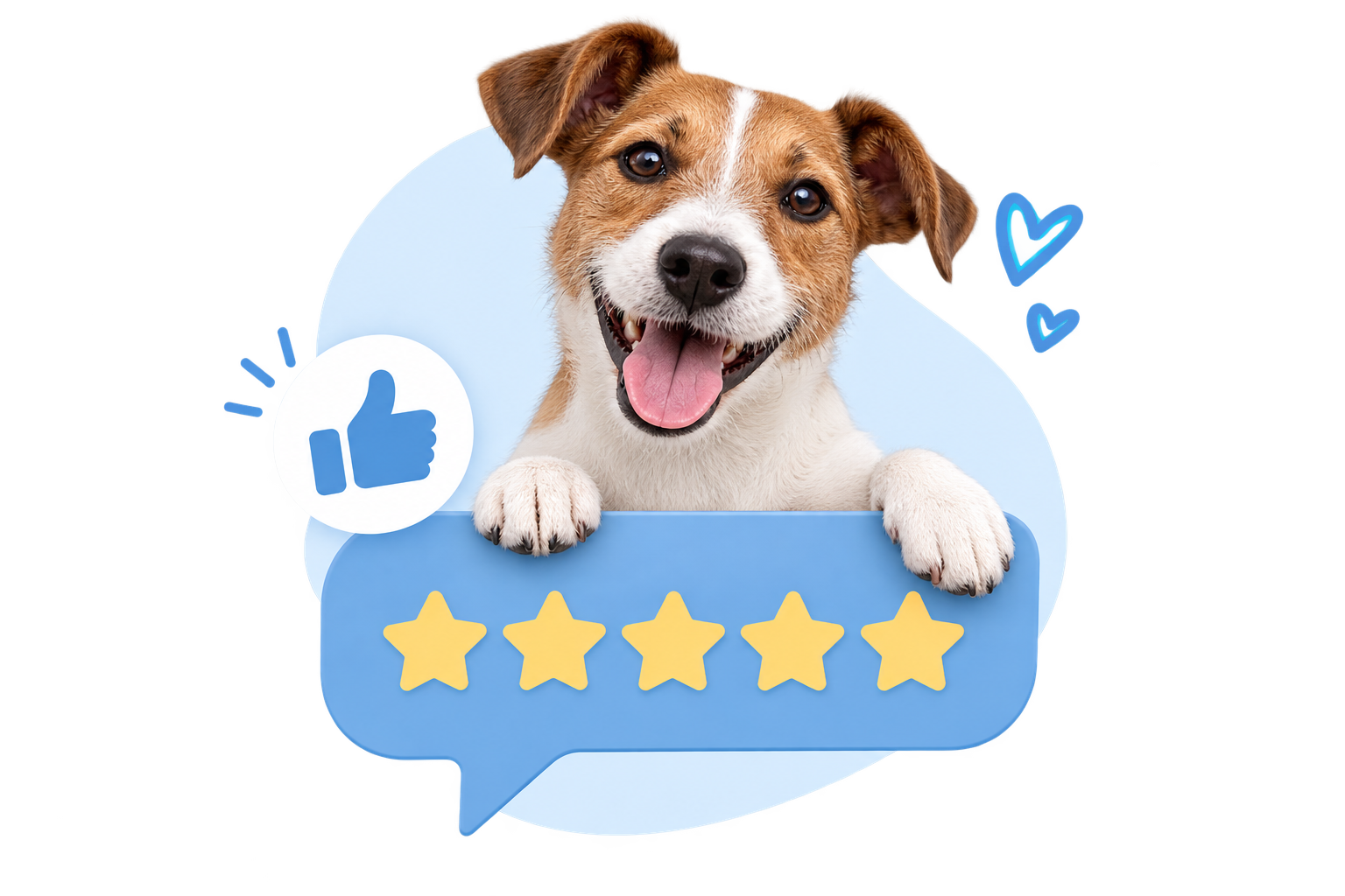 Happy dog receiving five-star care from a professional pet care service