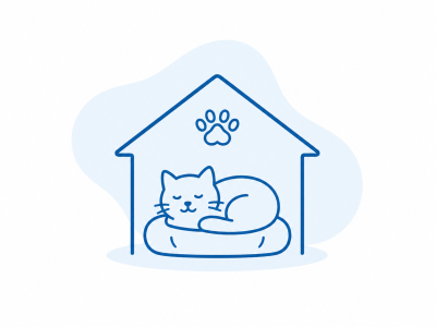 Cat relaxing in a comfortable cat hotel.